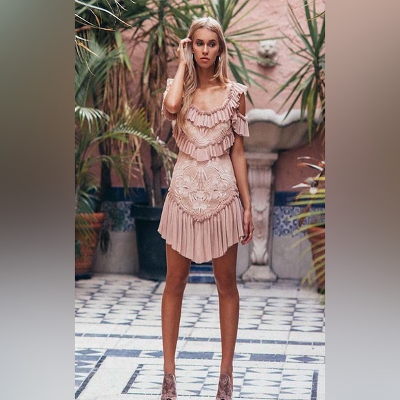 ❌SOLD❌ALICE MCCALL LOVEBIRDS DRESS ROSE PINK SIZE 6 - Picture 10 of 17